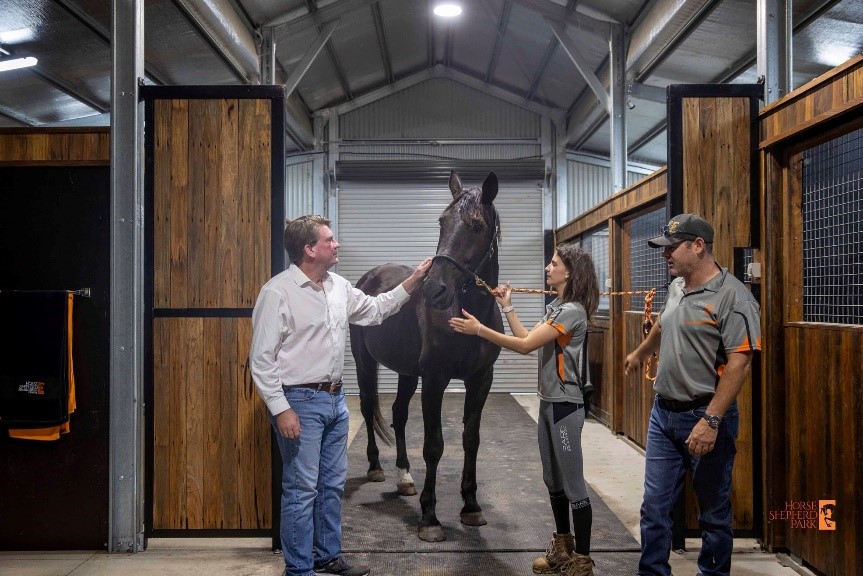 Dr O’Casaigh inspecting Stallion 